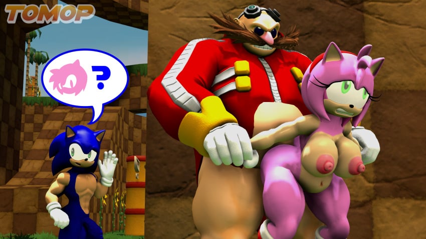 Amy Rose (Sonic (Series)) Rule 34 Image