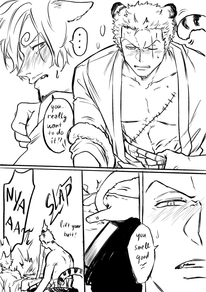 Roronoa Zoro (One Piece) Rule 34 Image