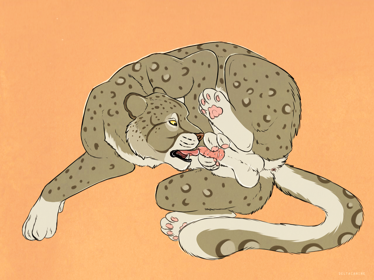 Animal Genitalia Rule 34 Image