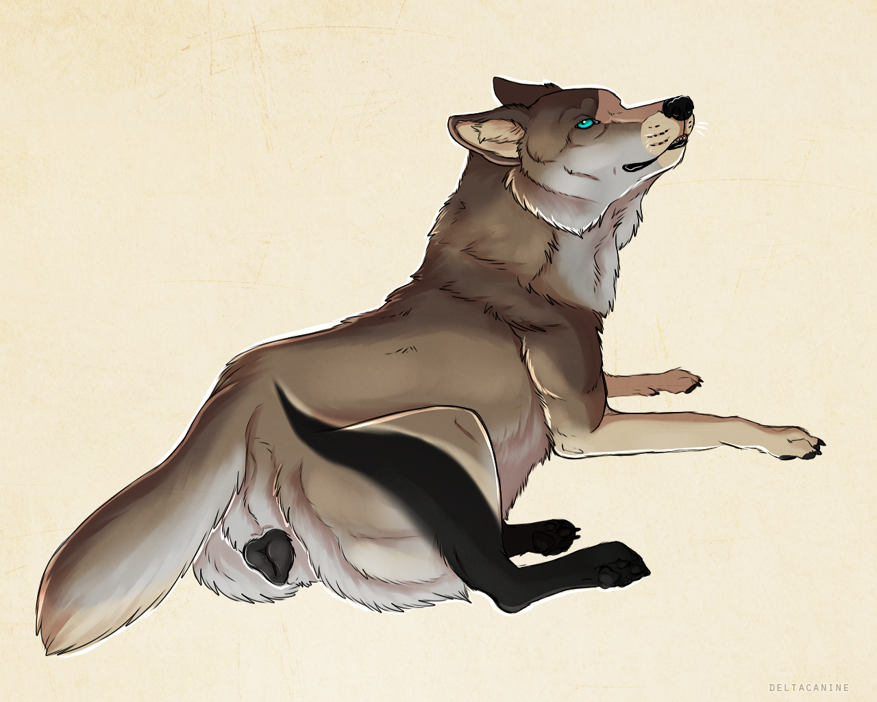 Talyn Rule 34 Image
