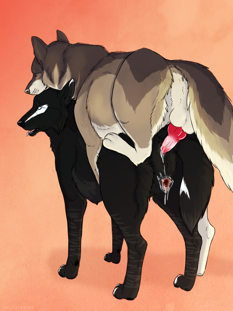 2015 Rule 34 Image