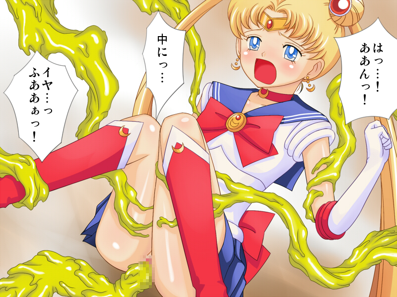 Sailor Moon (Bishoujo Senshi Sailor Moon) Rule 34 Image