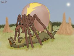 Arachnid Rule 34 Image