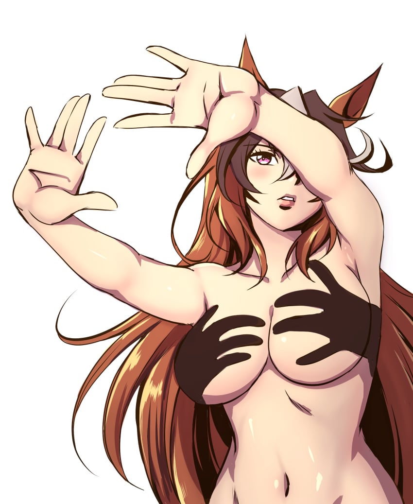 Symboli Rudolf (Umamusume) Rule 34 Image