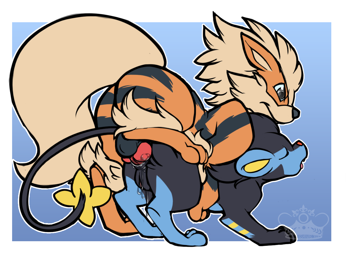 Arcanine (Nintendo) Rule 34 Image