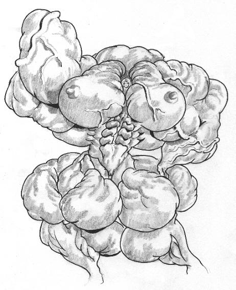 Abs Rule 34 Image