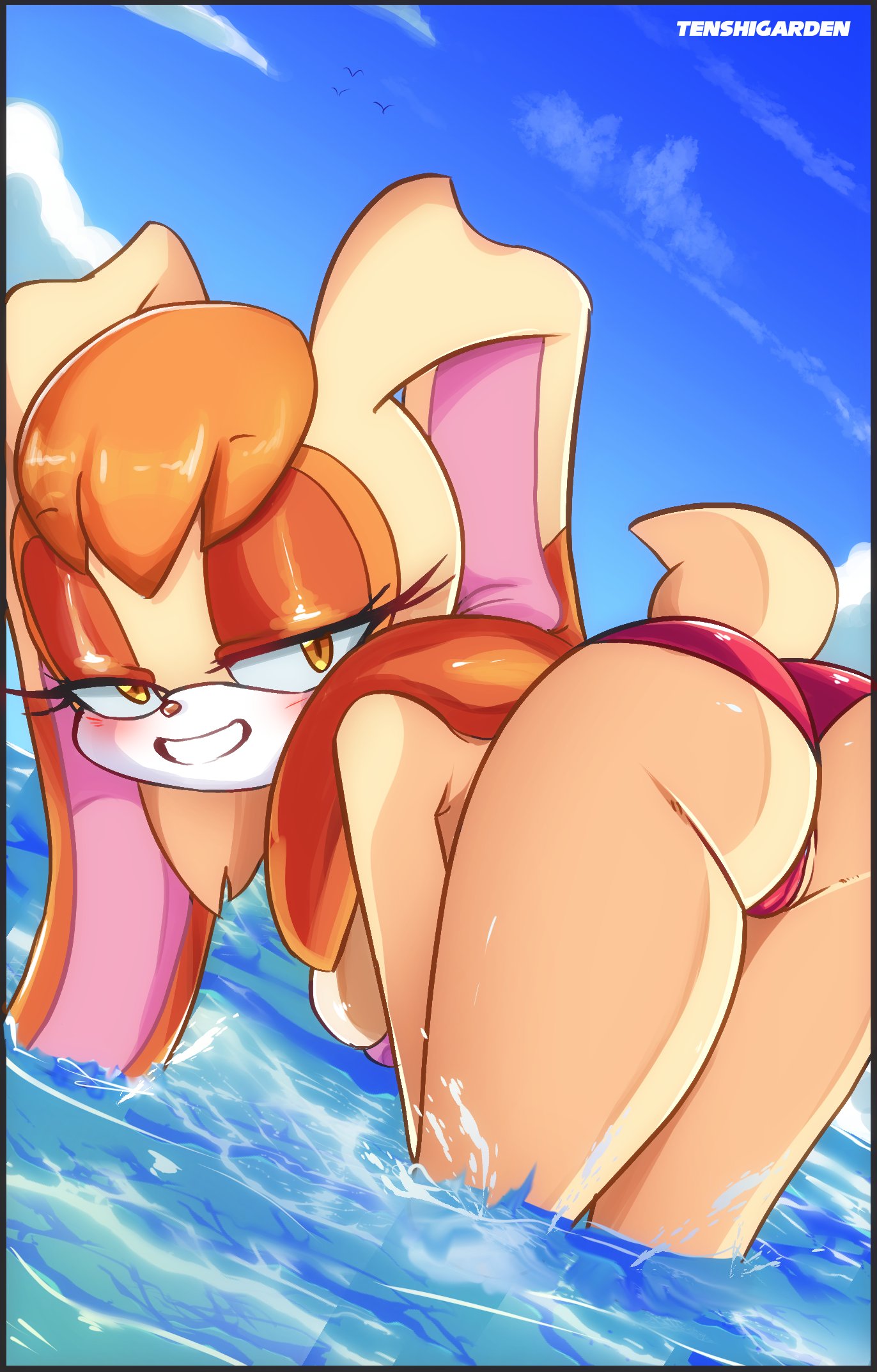 Vanilla The Rabbit (Sega) Rule 34 Image