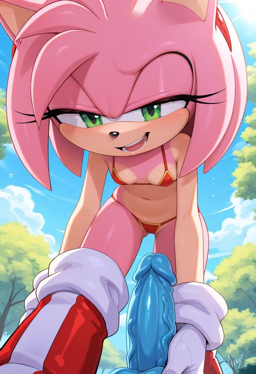 Amy Rose (Sega) Rule 34 Image