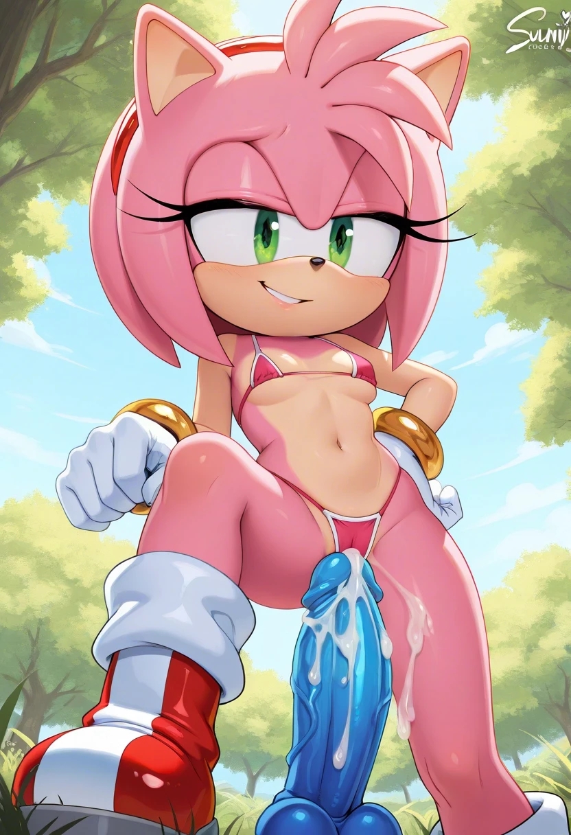 Amy Rose (Sega) Rule 34 Image