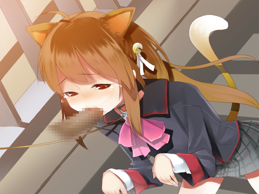 Animal Ear Rule 34 Image