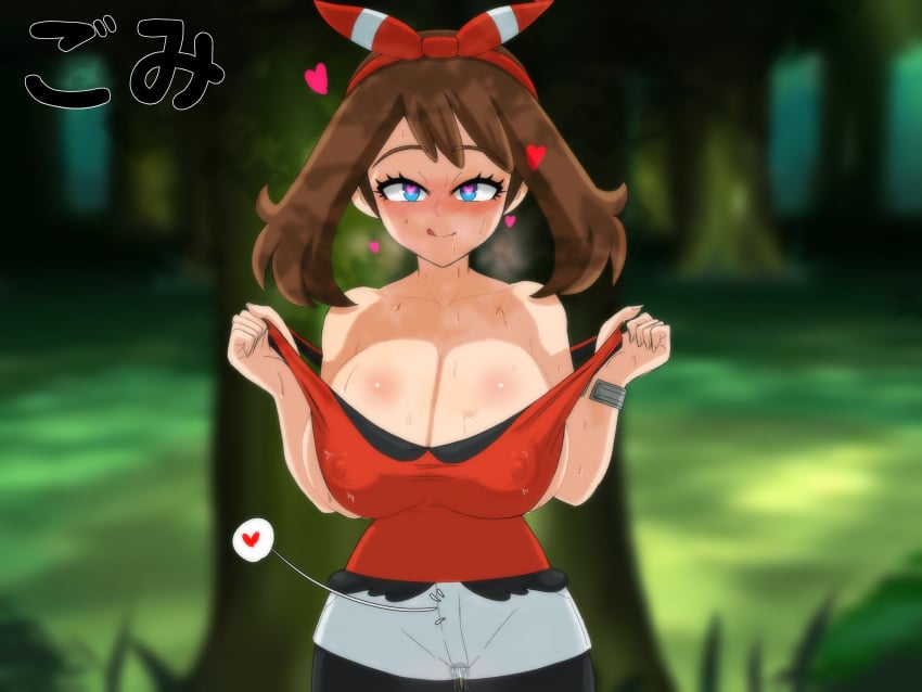 May (Pokemon) Rule 34 Image