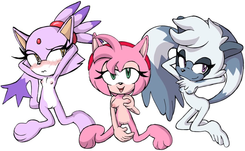 Blaze The Cat (Sonic (Series)) Rule 34 Image