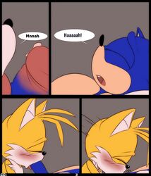 Sonic (Series) Rule 34 Image