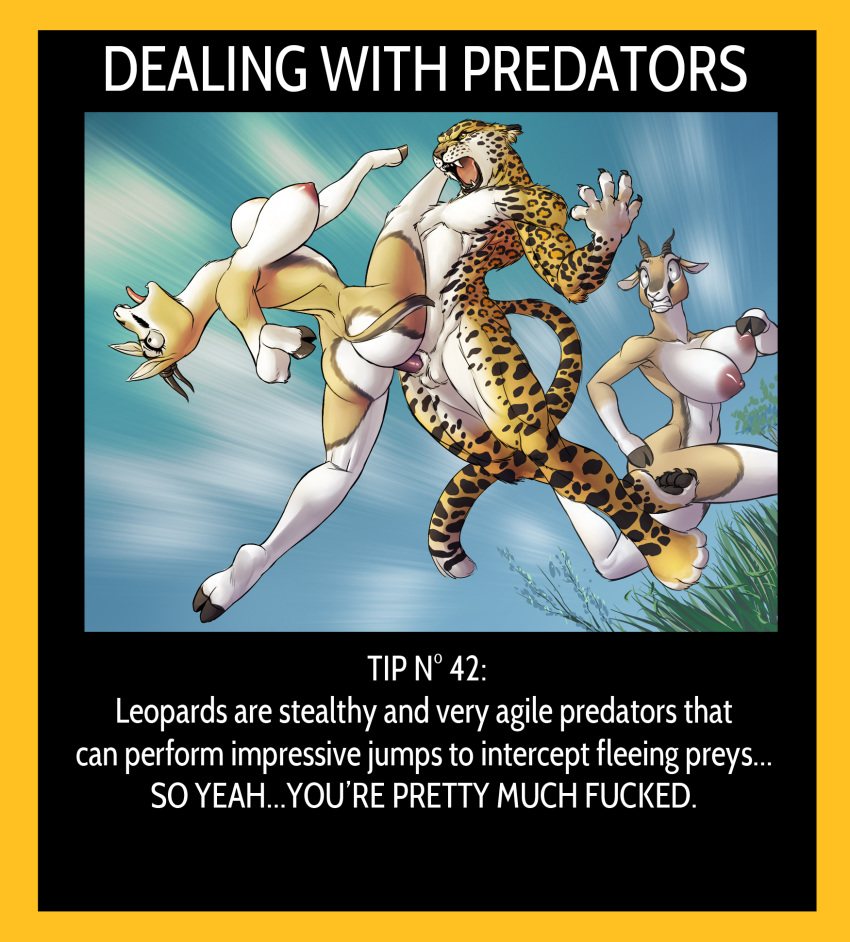 Antelope Rule 34 Image