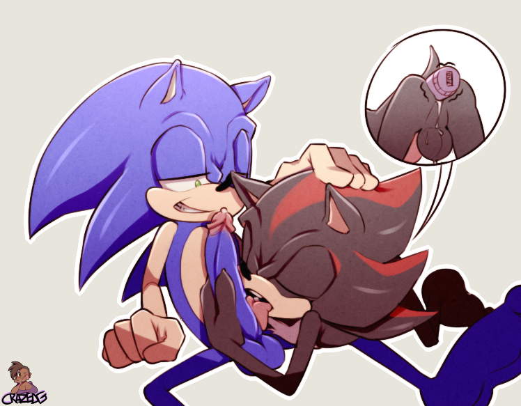 Shadow The Hedgehog (Sonic (Series)) Rule 34 Image