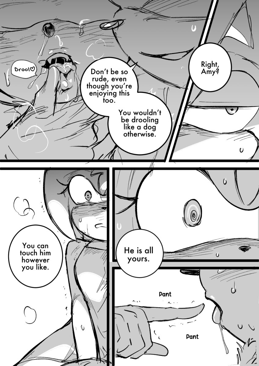 Amy Rose (Sonic (Series)) Rule 34 Image