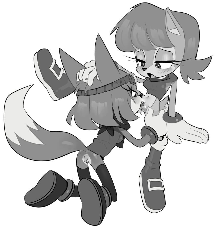 Sally Acorn (Archie Comics) Rule 34 Image