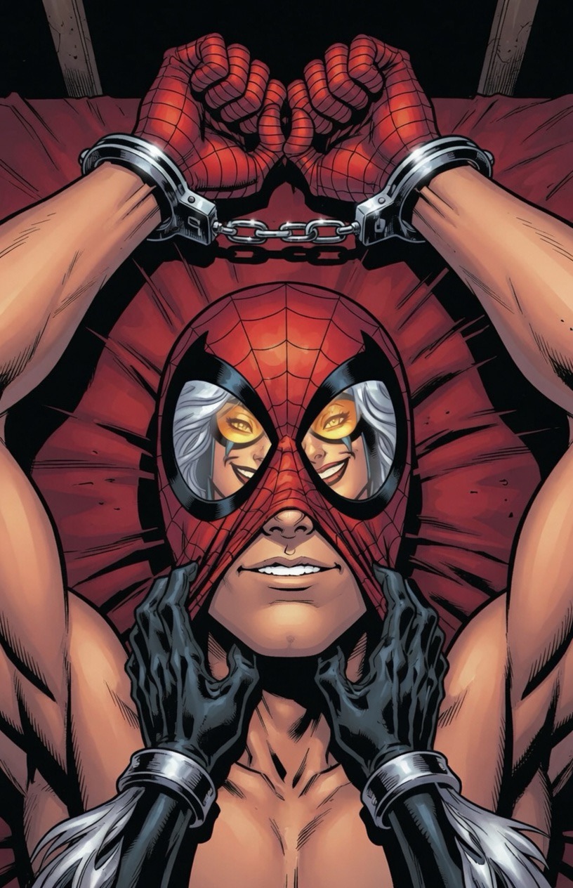 Black Cat (Marvel) Rule 34 Image