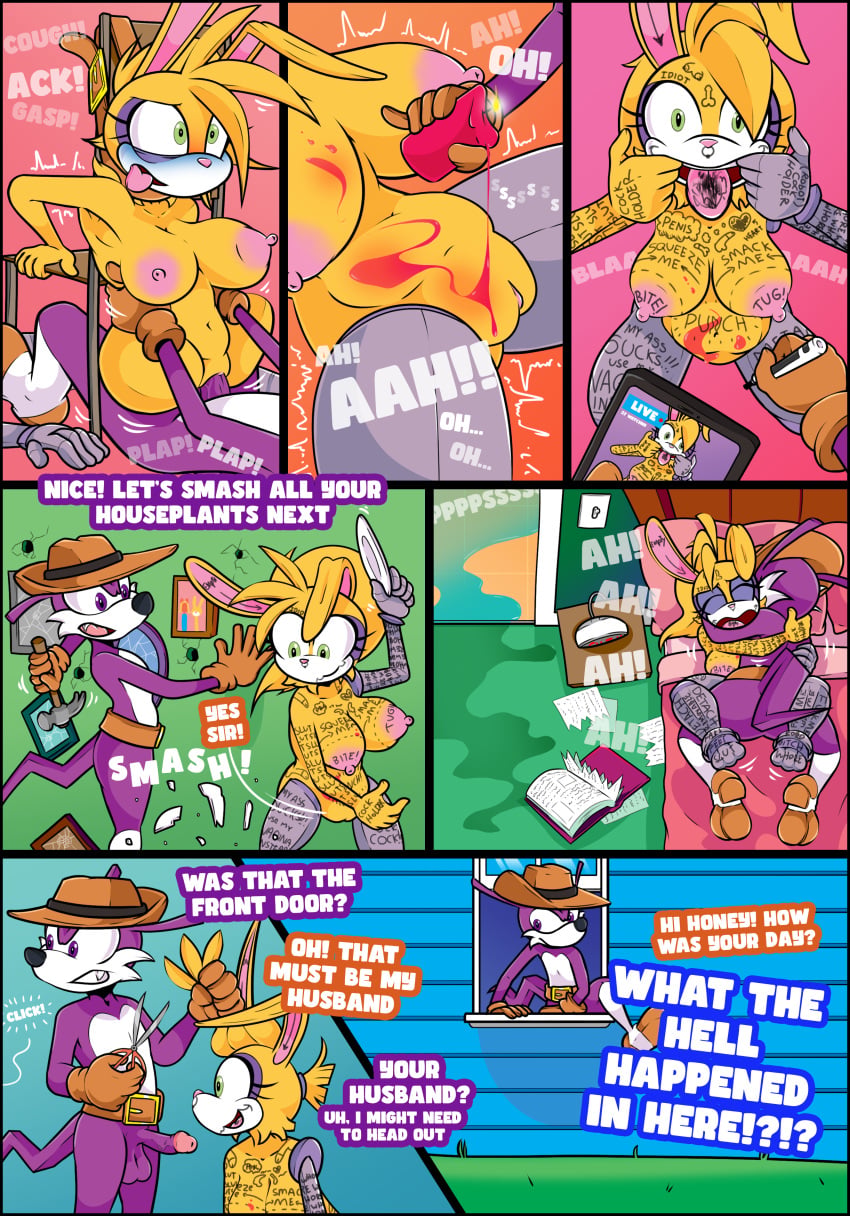 Sonic (Series) Rule 34 Image