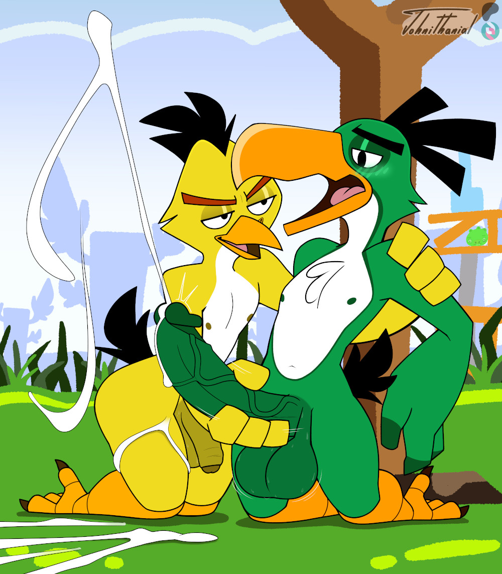 Chuck (Angry Birds) Rule 34 Image