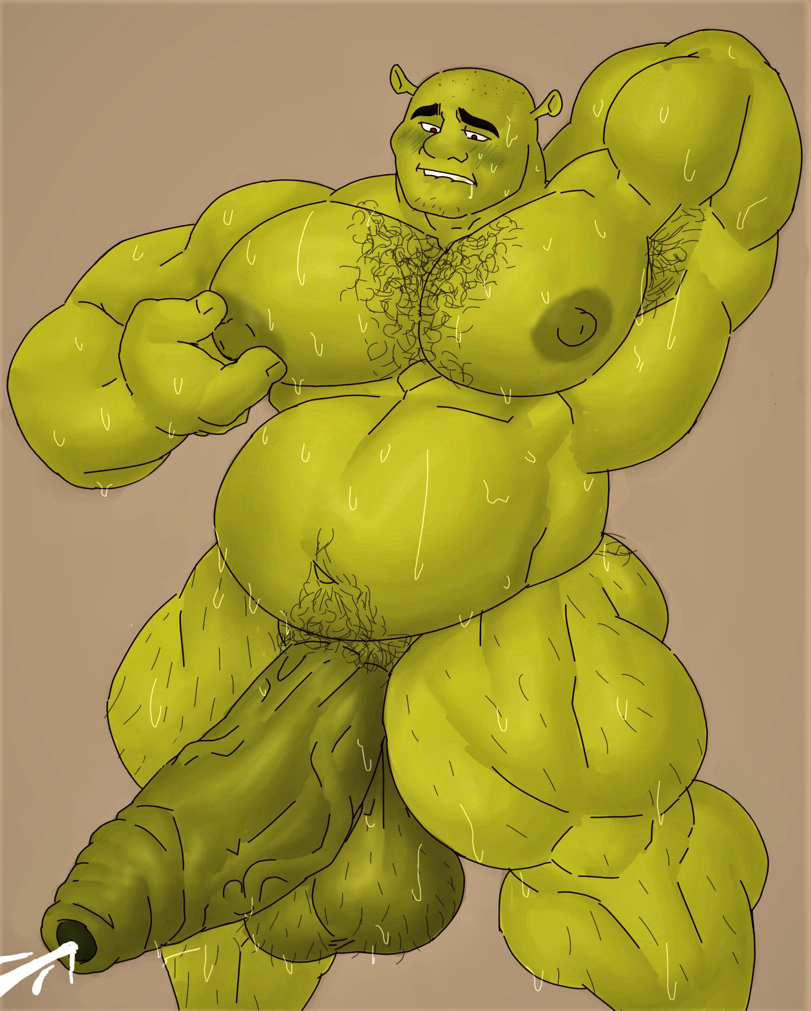 Shrek (Dreamworks) Rule 34 Image