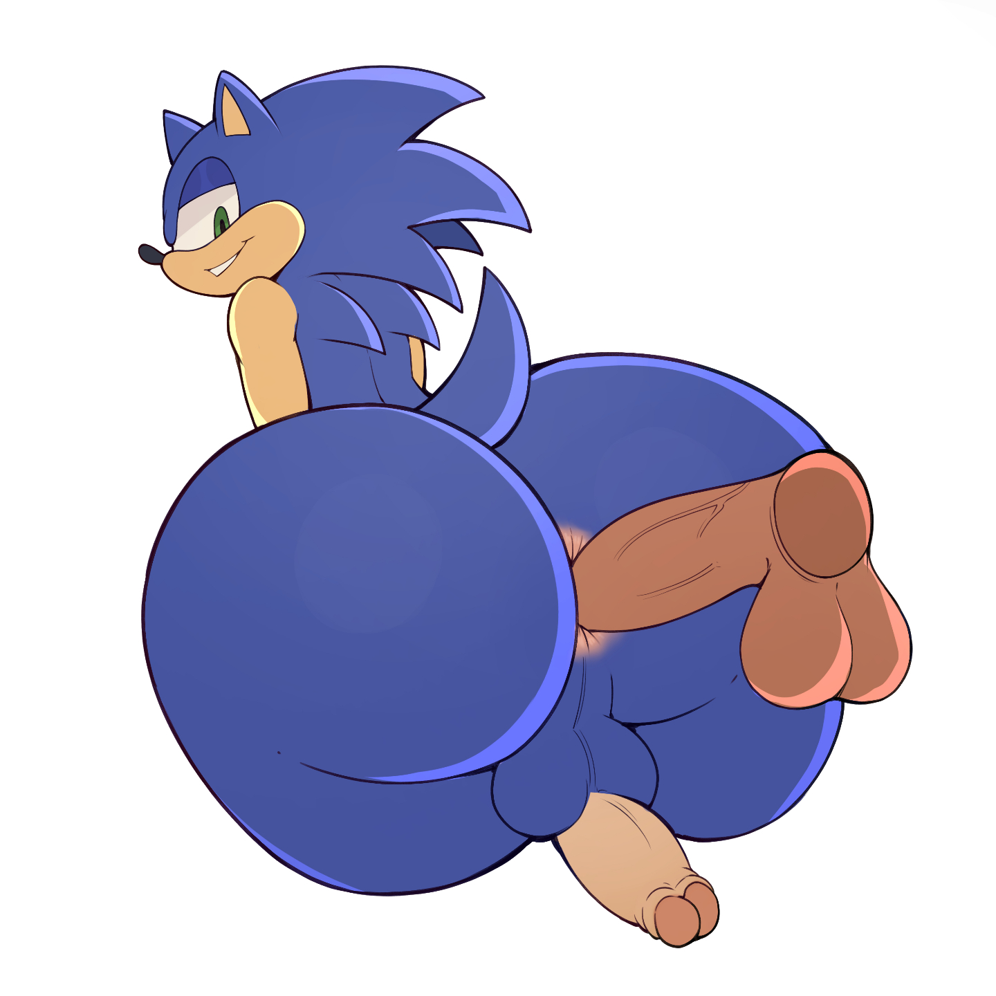 Sonic The Hedgehog (Sonic (Series)) Rule 34 Image