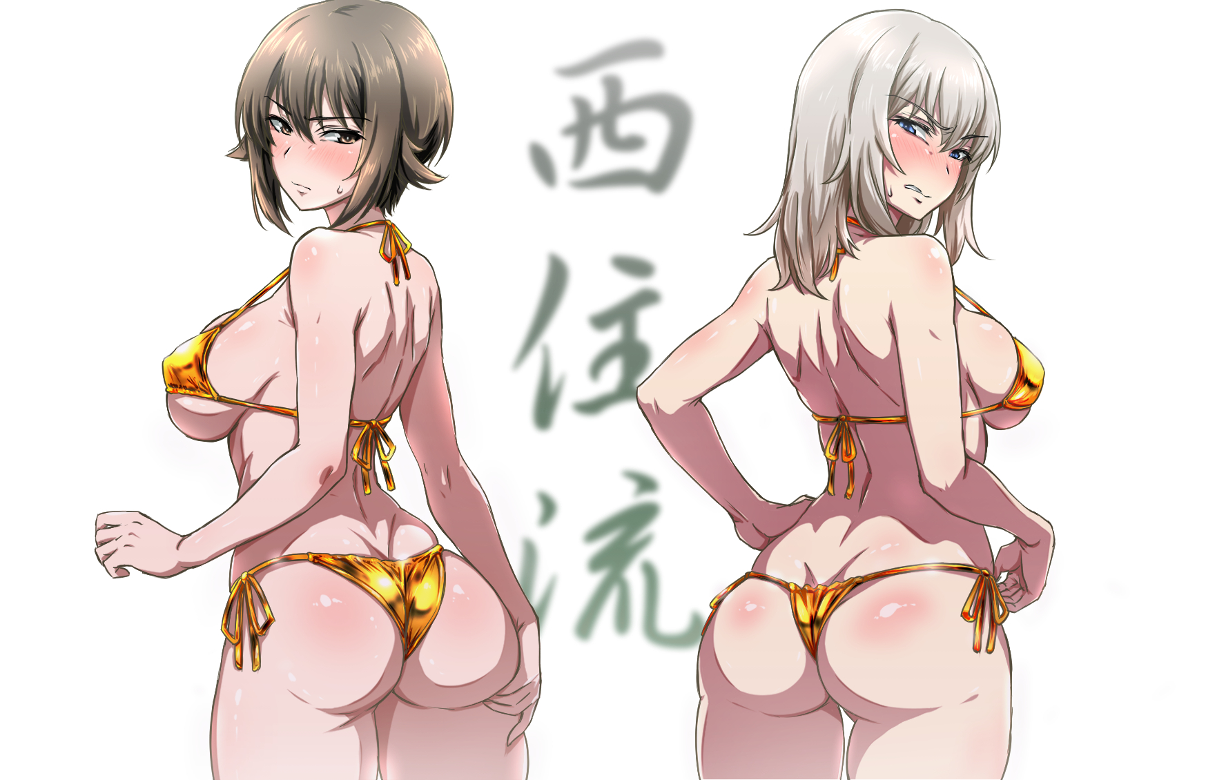 Itsumi Erika (Girls Und Panzer) Rule 34 Image