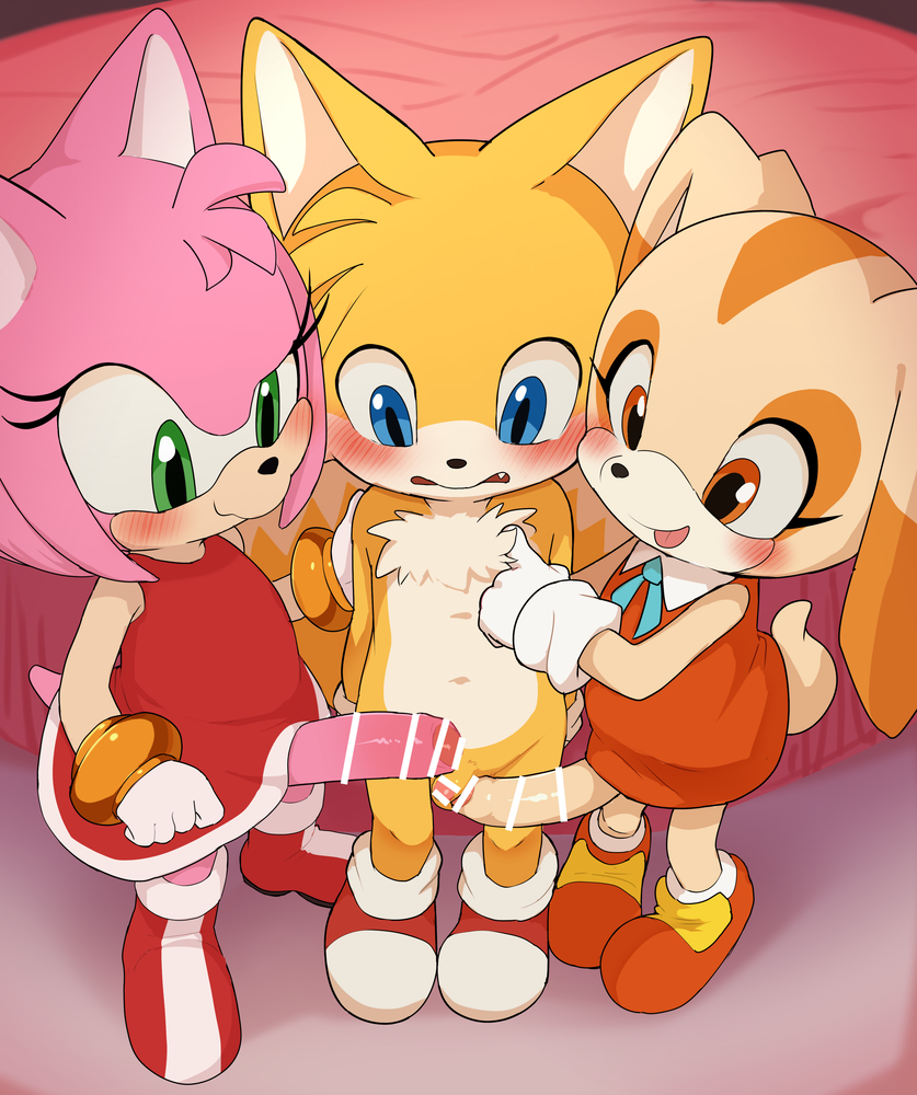 Amy Rose (Sega) Rule 34 Image