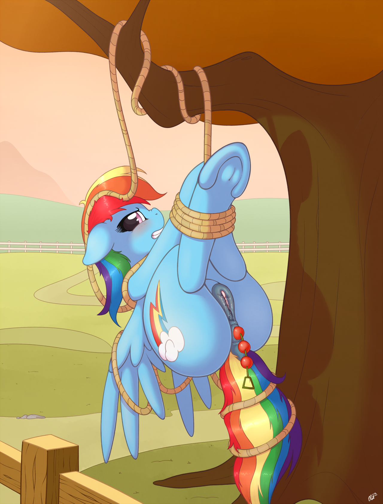 Rainbow Dash (Mlp) Rule 34 Image