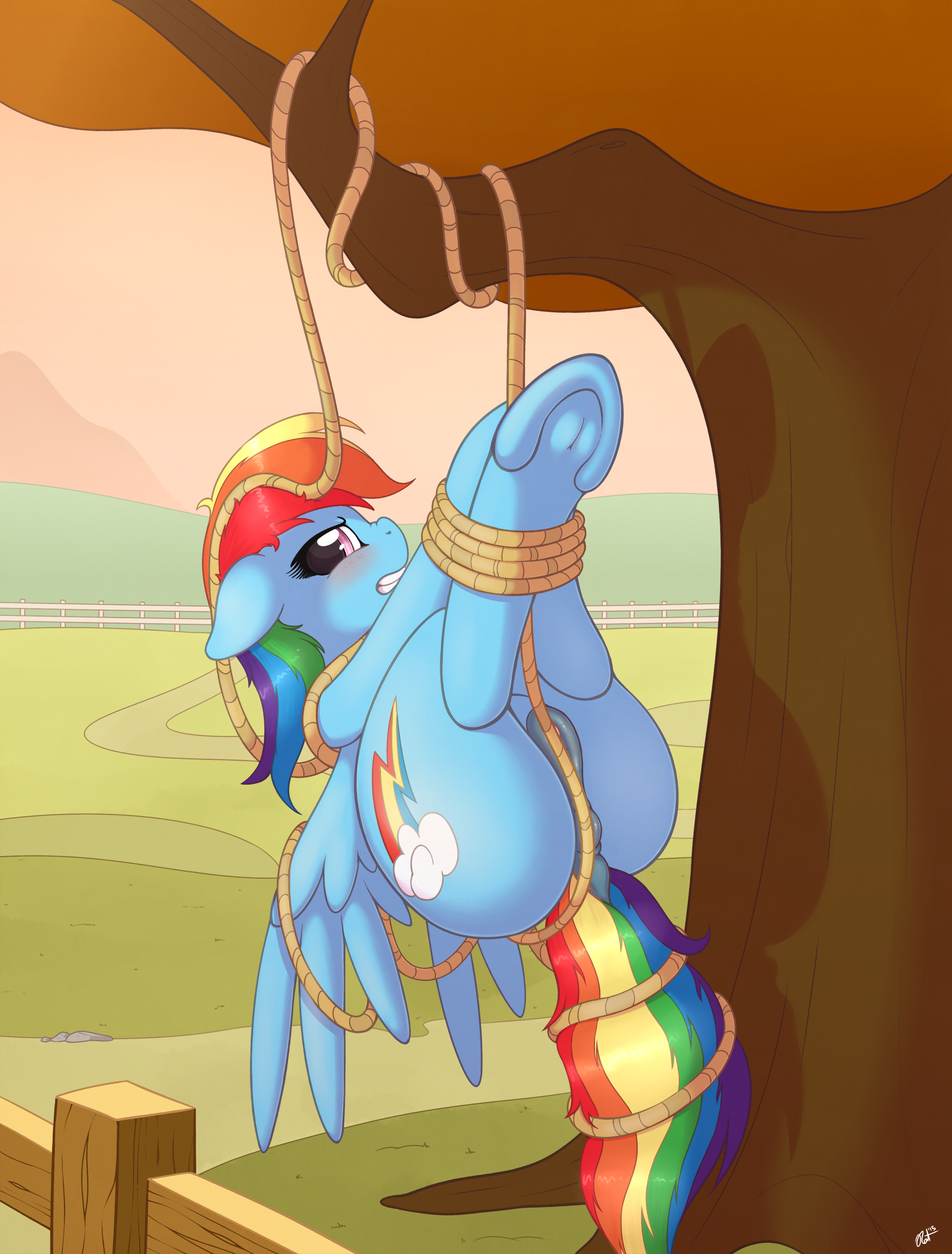 Rainbow Dash (Mlp) Rule 34 Image