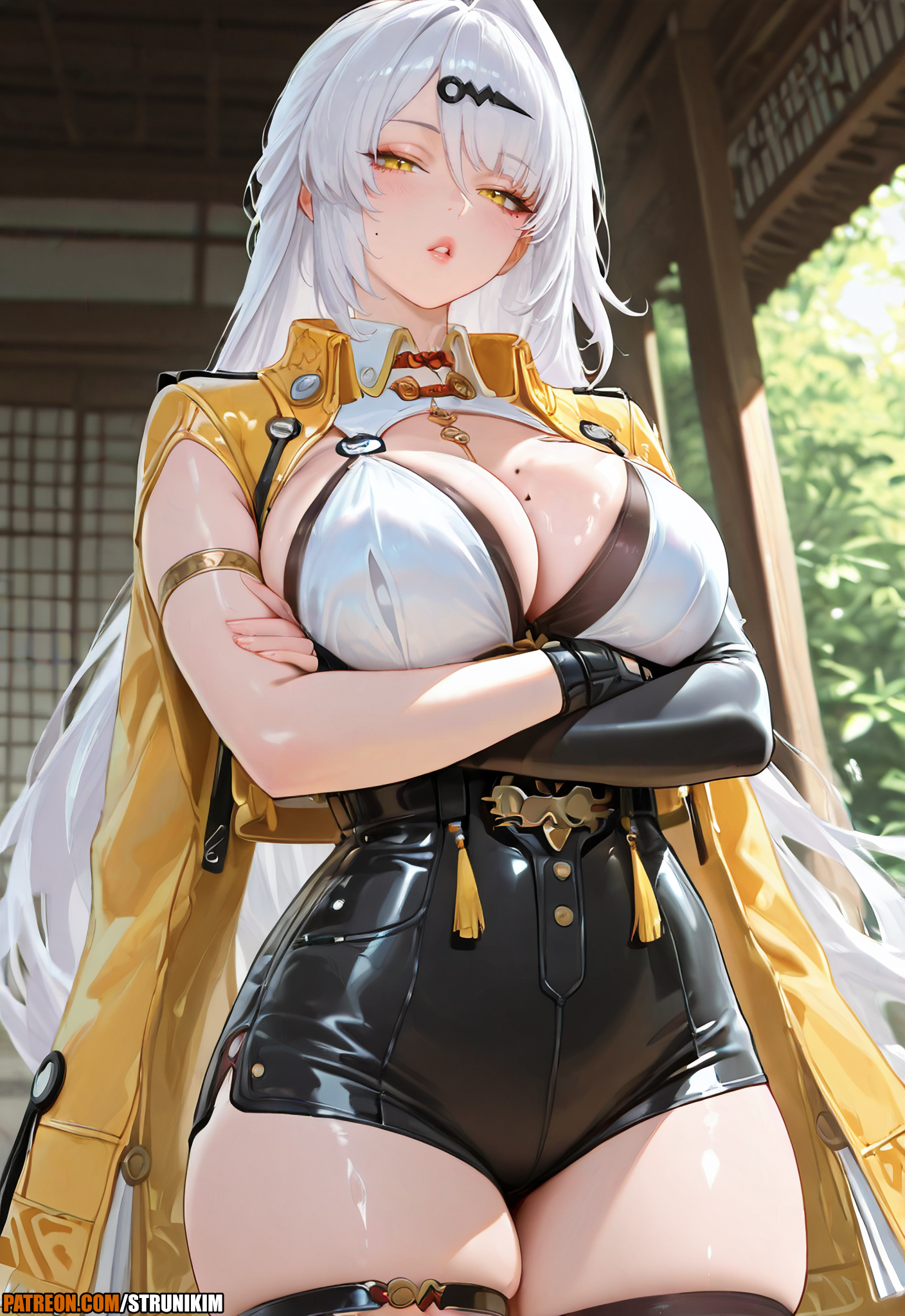 Yixuan (Zenless Zone Zero) Rule 34 Image