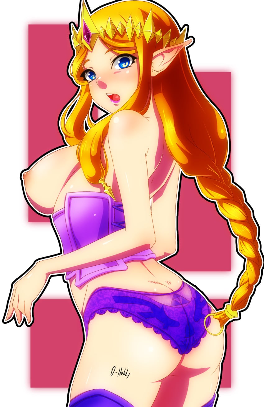 Princess Zelda (Hyrule Warriors) Rule 34 Image