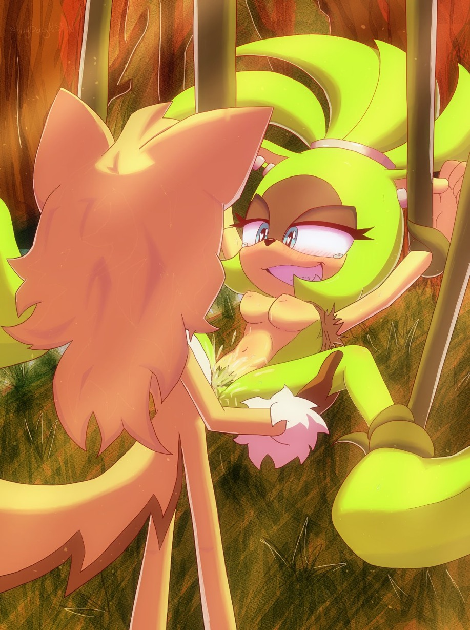 Sonic Oc (Idw Publishing) Rule 34 Image