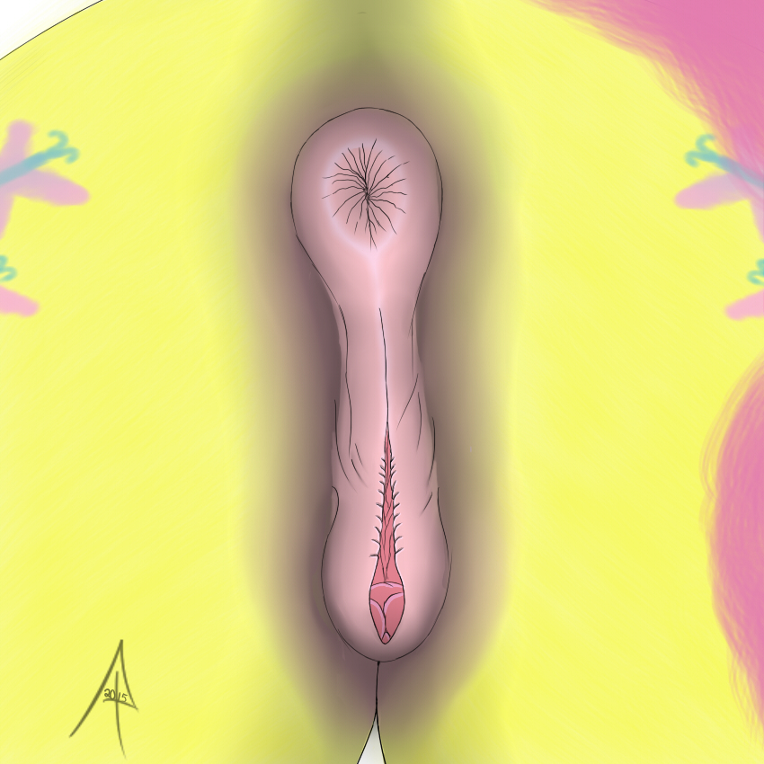 Fluttershy (Mlp) Rule 34 Image