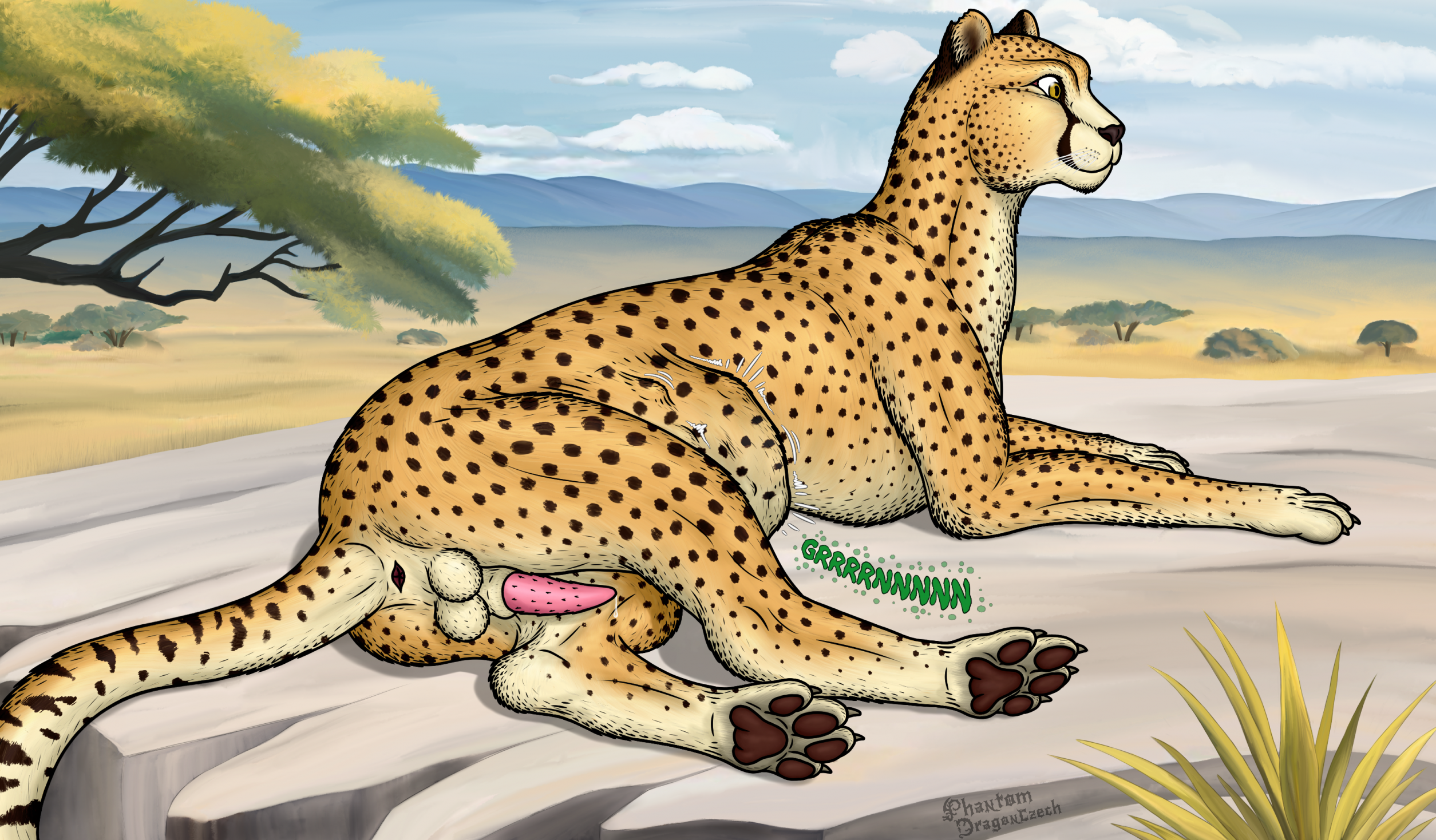 2026 Rule 34 Image