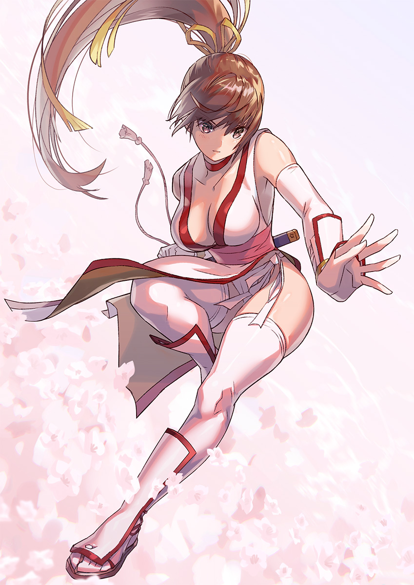 Kasumi (Doa) Rule 34 Image