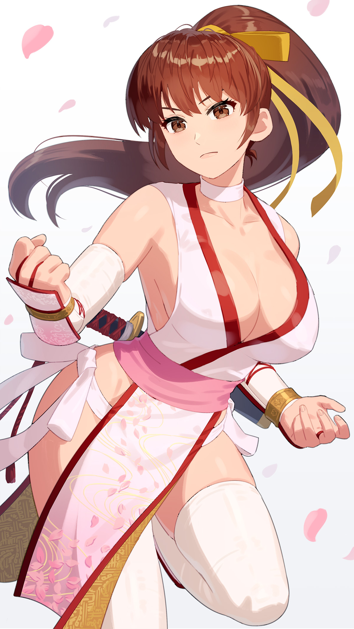 Kasumi (Doa) Rule 34 Image