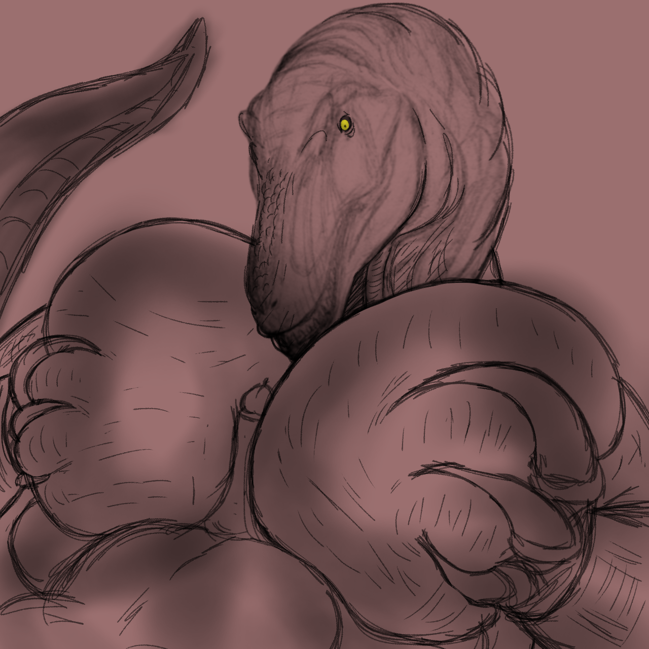 1:1 Rule 34 Image