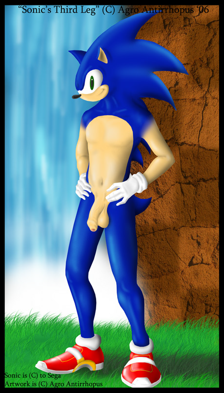 Sonic The Hedgehog (Sonic (Series)) Rule 34 Image
