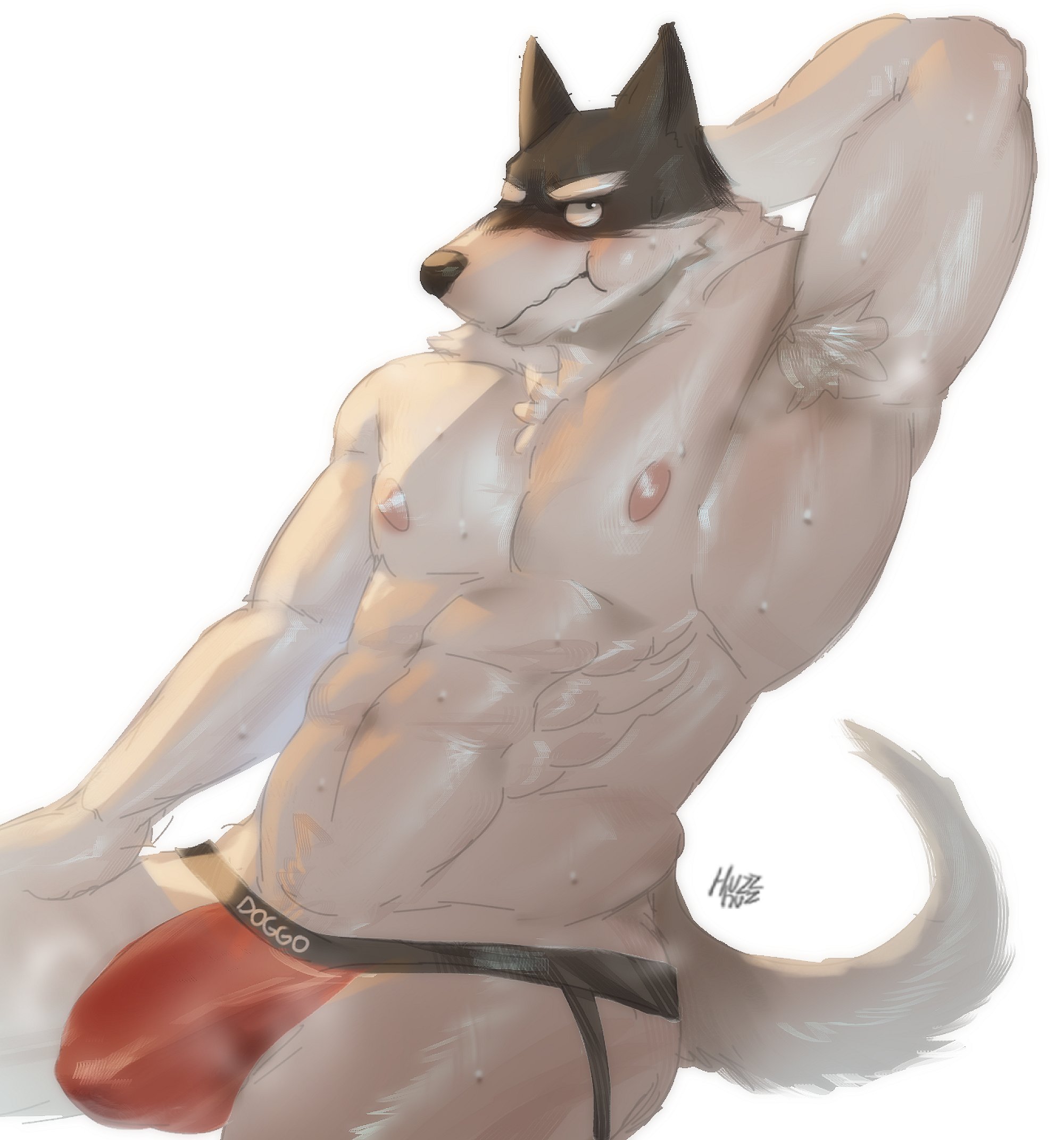 Doggo (Undertale) Rule 34 Image