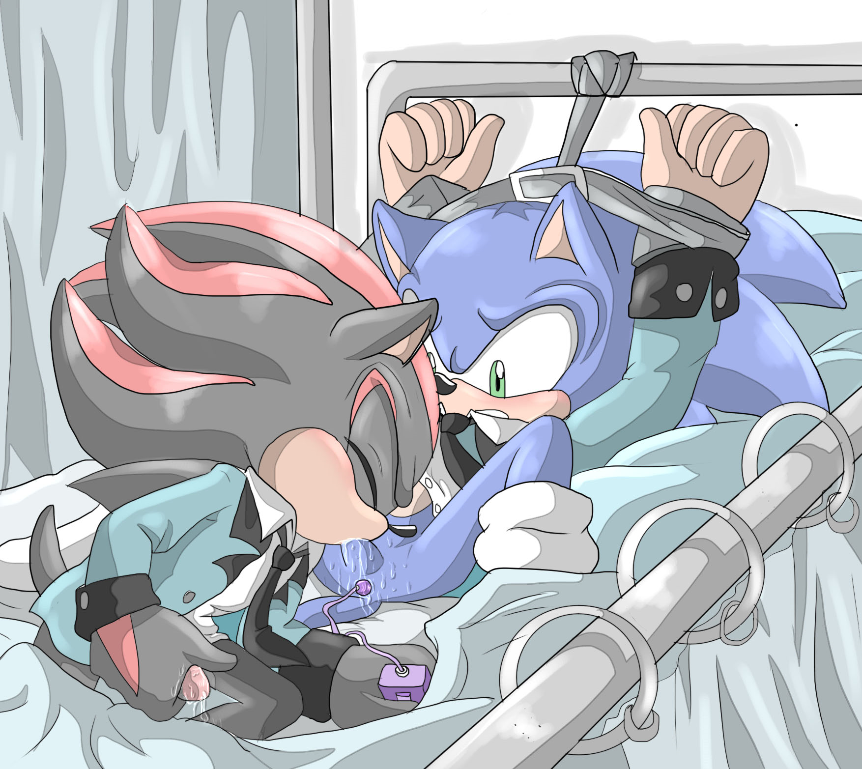 Shadow The Hedgehog (Sonic (Series)) Rule 34 Image