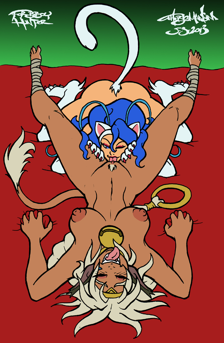 Aisha Clanclan (Capcom) Rule 34 Image