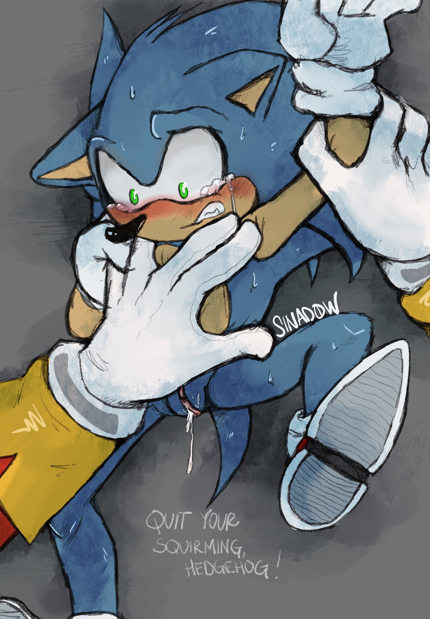 Sonic (Series) Rule 34 Image
