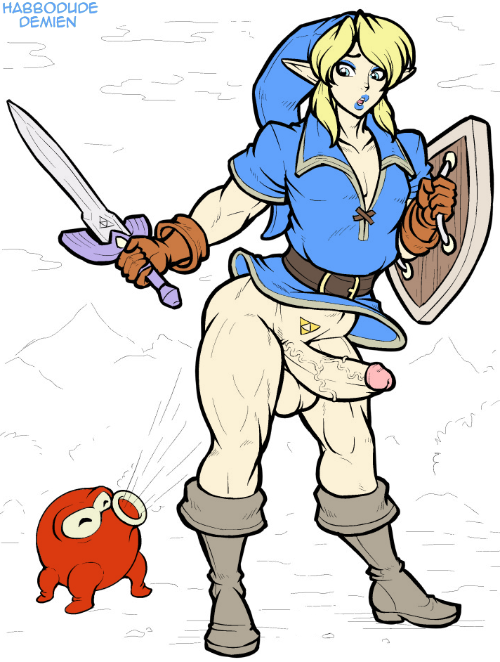Link (Nintendo) Rule 34 Image