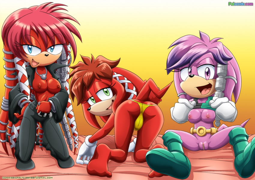 Sonic (Series) Rule 34 Image