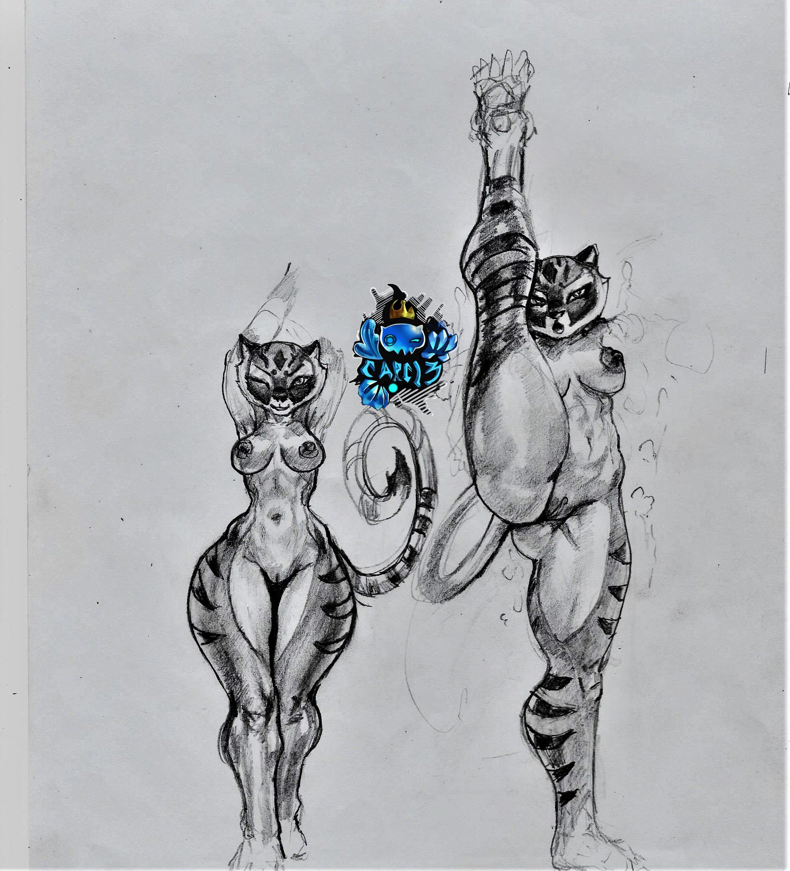 Master Tigress (Kung Fu Panda) Rule 34 Image