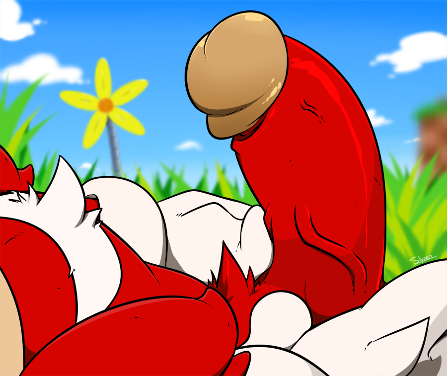 Knuckles The Echidna (Sonic (Series)) Rule 34 Image