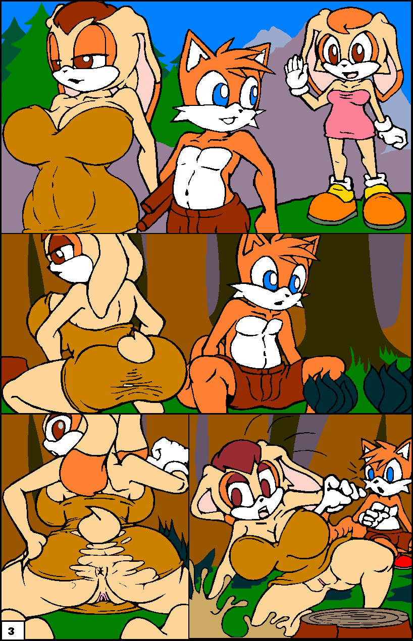 Cream The Rabbit (Sonic (Series)) Rule 34 Image