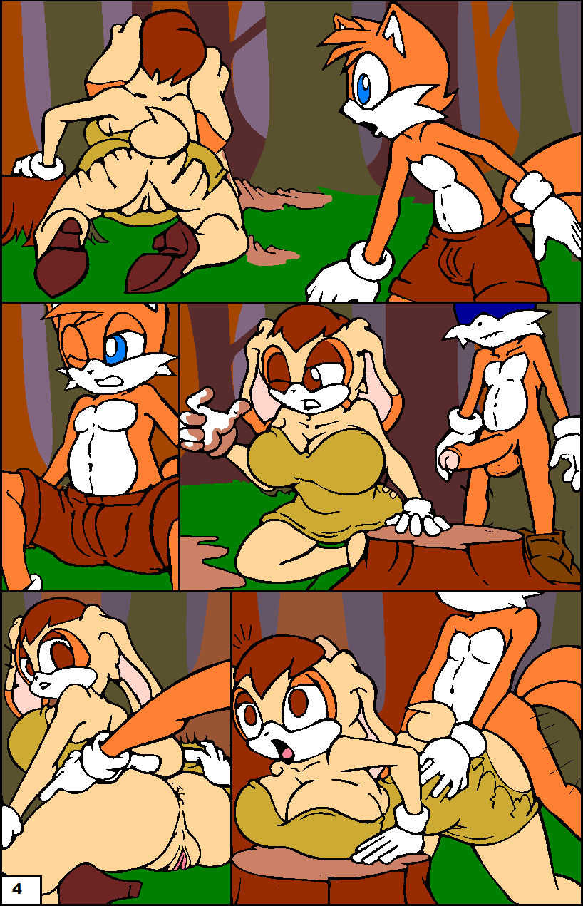 Tails The Fox (Sonic (Series)) Rule 34 Image