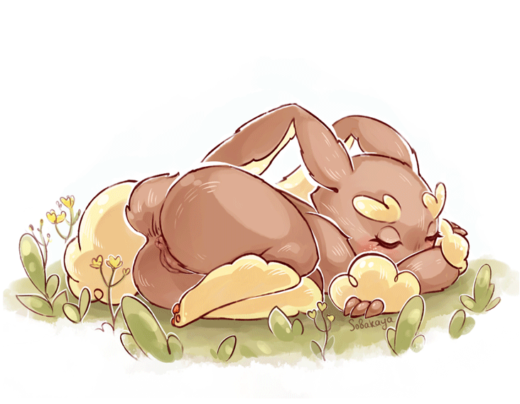 Lopunny (Nintendo) Rule 34 Image